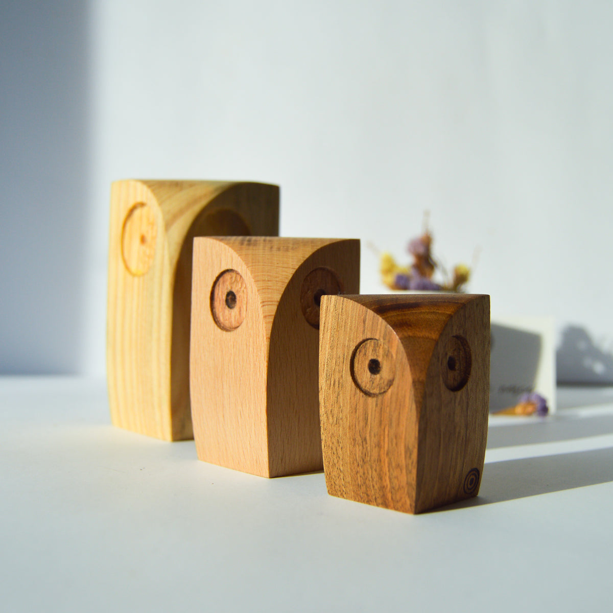 Familia de Mochos